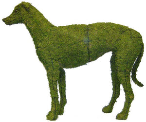 Topiary Dog Greyhound