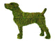 Topiary Dog Jack Russell