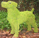 Topiary Dog Jack Russell