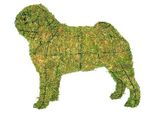 Topiary Dog Pug