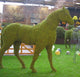 Topiary Horse