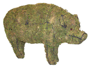 Topiary Pig