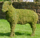 Topiary Sheep