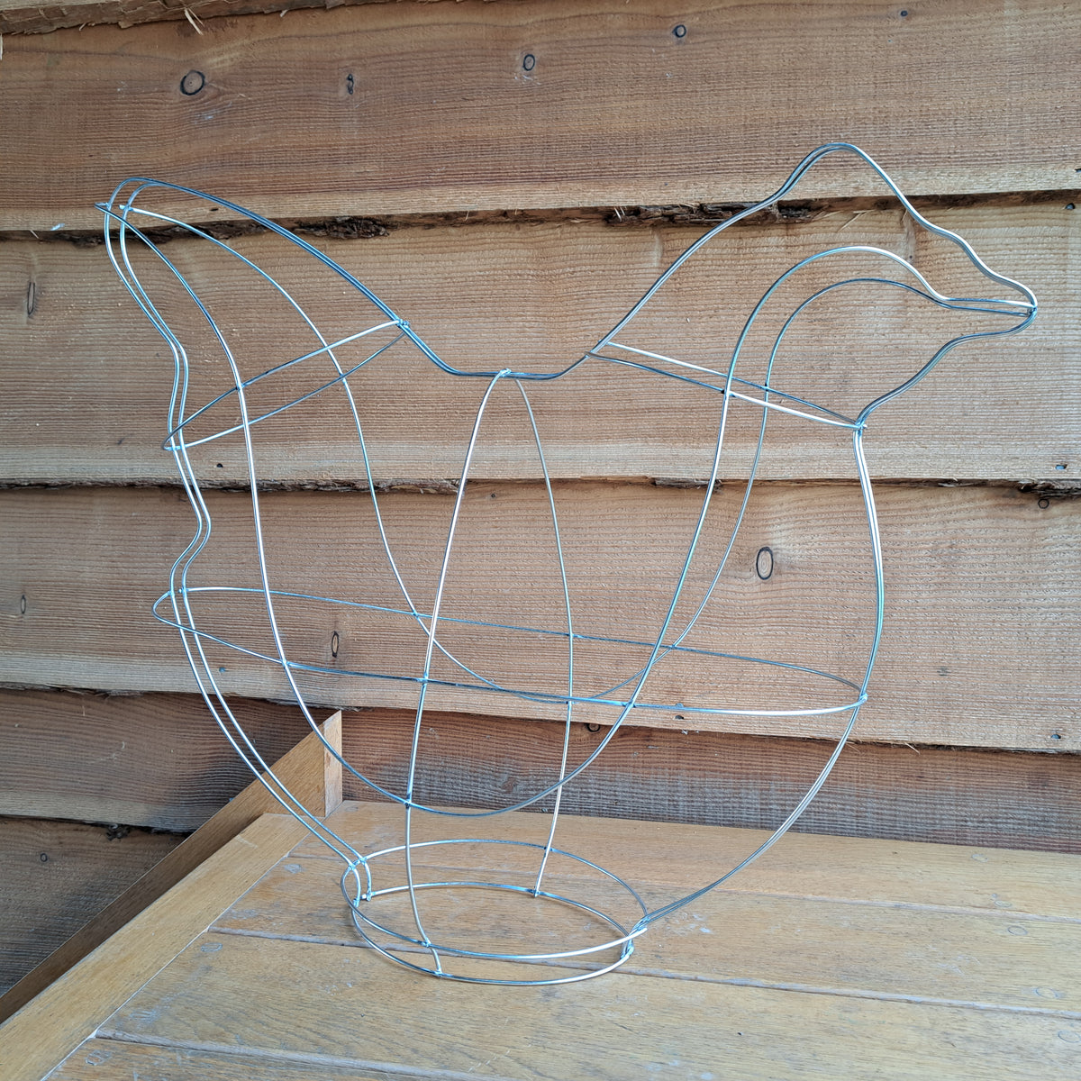 Chicken/Hen Frame Extra Large 60cm High Top Topiary