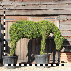 Topiary Pony Grazing - 130cm tall