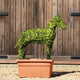 Topiary Standing Horse - 72cm tall