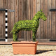 Topiary Standing Horse - 72cm tall