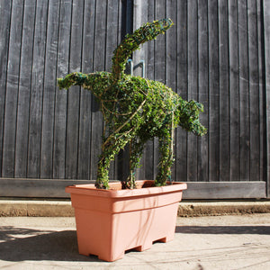 Cocked-Leg Dog Topiary Sculpture