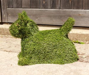SALE PRICE Dog Scottish Terrier Artificial Grass