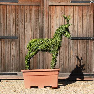 Topiary Standing Stag - 102cm Tall