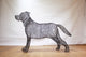 Ligustrum version of Labrador Dog Sculpture - 80cm tall