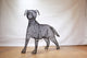 Ligustrum version of Labrador Dog Sculpture - 80cm tall