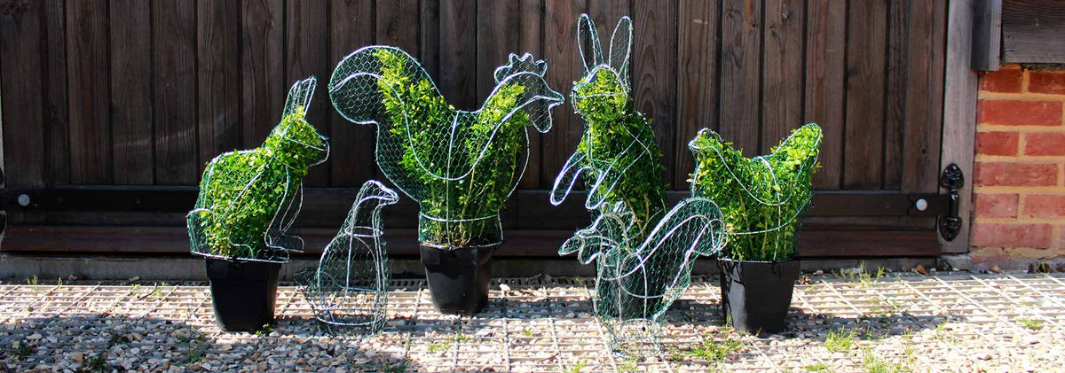 DIY Topiary Frames – Top Topiary