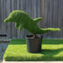 Topiary Dolphin (10L)