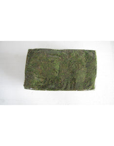 Dry Dyed Moss (1kg)