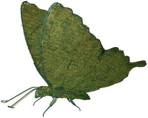 Topiary Butterfly