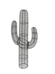 Topiary Cactus