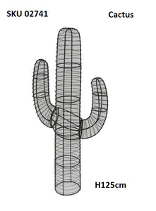 Cactus topiaire