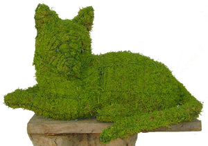 Topiary Cat lying