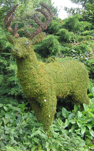 Topiary Deer