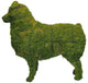 Topiary Dog Australian Shephard
