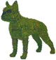 Topiary Dog Boston Terrier