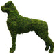 Topiary Dog Boxer