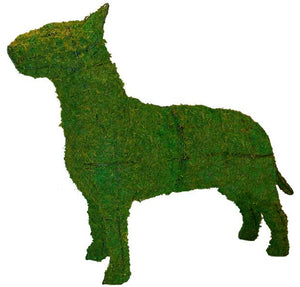 Topiary Dog Bull Terrier