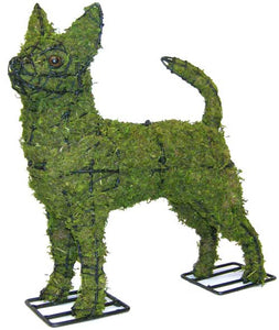 Topiary Dog Chihuahua