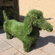Topiary Dog Dachshund