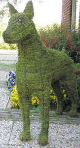 Topiary Dog Doberman