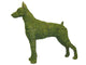 Topiary Dog Doberman
