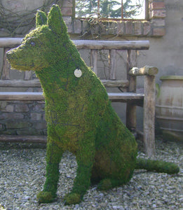 Topiary Dog German Shepherd sitting