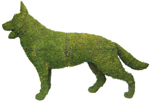 Topiary Dog German Shepherd standing
