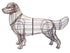Topiary Dog Golden Retriever