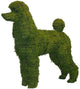 Topiary Dog Poodle