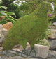 Topiary Eagle perched on tree
