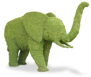 Topiary Elephant