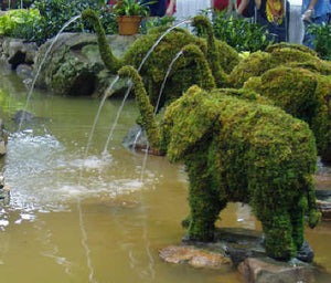 Topiary Elephant with water hose