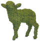 Topiary Lamb head up