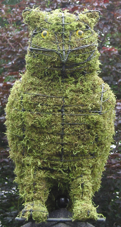 Topiary Owl – Top Topiary