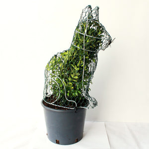Cat Topiary Frame with Mesh and Plant Addon