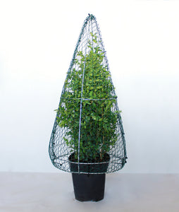 Cone Topiary Frame - Medium - 30cm High