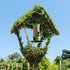 Bird Feeder / Topiary Bird Feeder Ligustrum : 18L : 140cm High (exc pot)