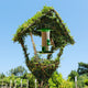 Bird Feeder / Topiary Bird Feeder Ligustrum : 18L : 150cm High (exc pot)
