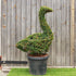 Topiary Goose (10L) - 75cm tall