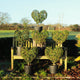 Topiary Heart (10L)