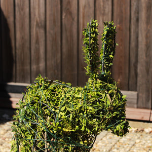 Topiary Rabbit (10L) - 45cm tall