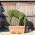 Topiary Female Deer Eating - 105cm tall