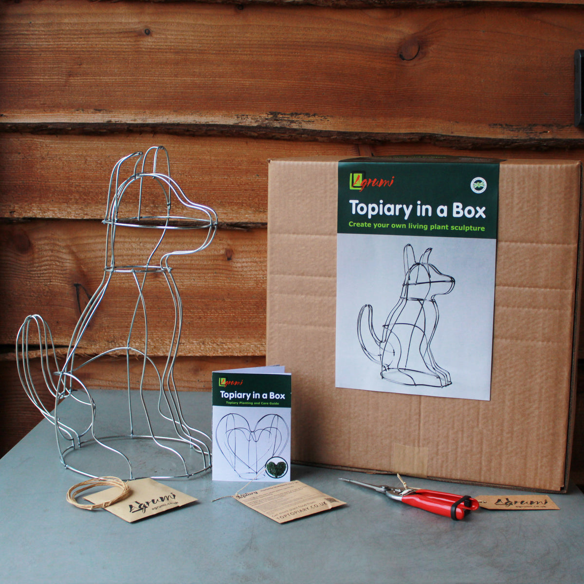 'Topiary in a Box' Kit – Top Topiary